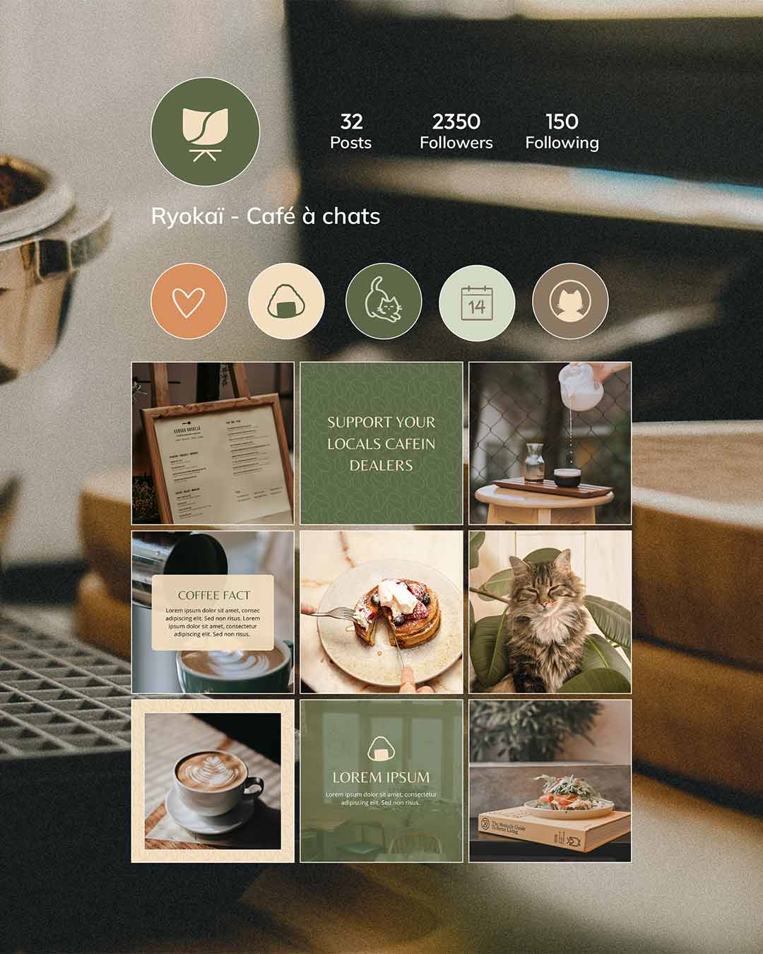 Ryokai Feed Instagram | Graphisme & Web Design - Moz Studio